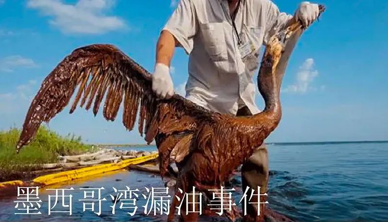 被海上溢油“染黑”的海岸线欧博ABG环保热解技术助力守护海洋生命线